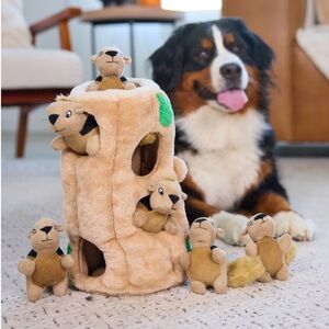 Hide-A-Squirrel Interactive Squeaky Puzzel Toy